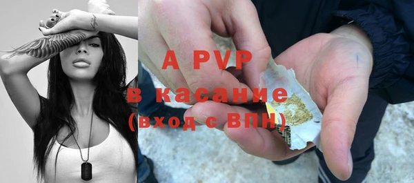 прущие грибы Ижевск