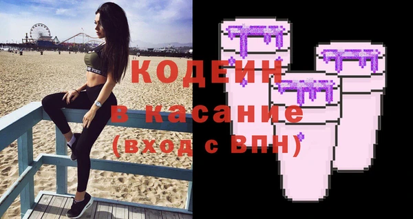 стаф Козельск