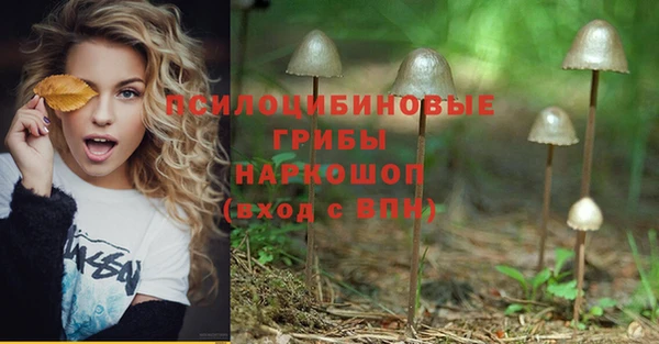 герыч Козловка