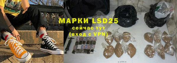 стаф Козельск