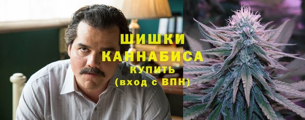 стаф Козельск