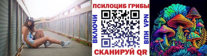 Галлюциногенные грибы мицелий  блэк спрут ССЫЛКА  Снежногорск 